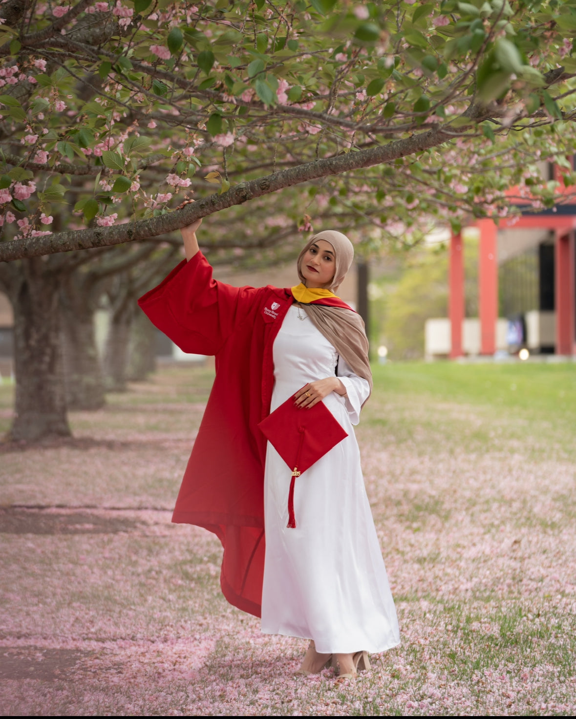 Silk Graduation Dress
