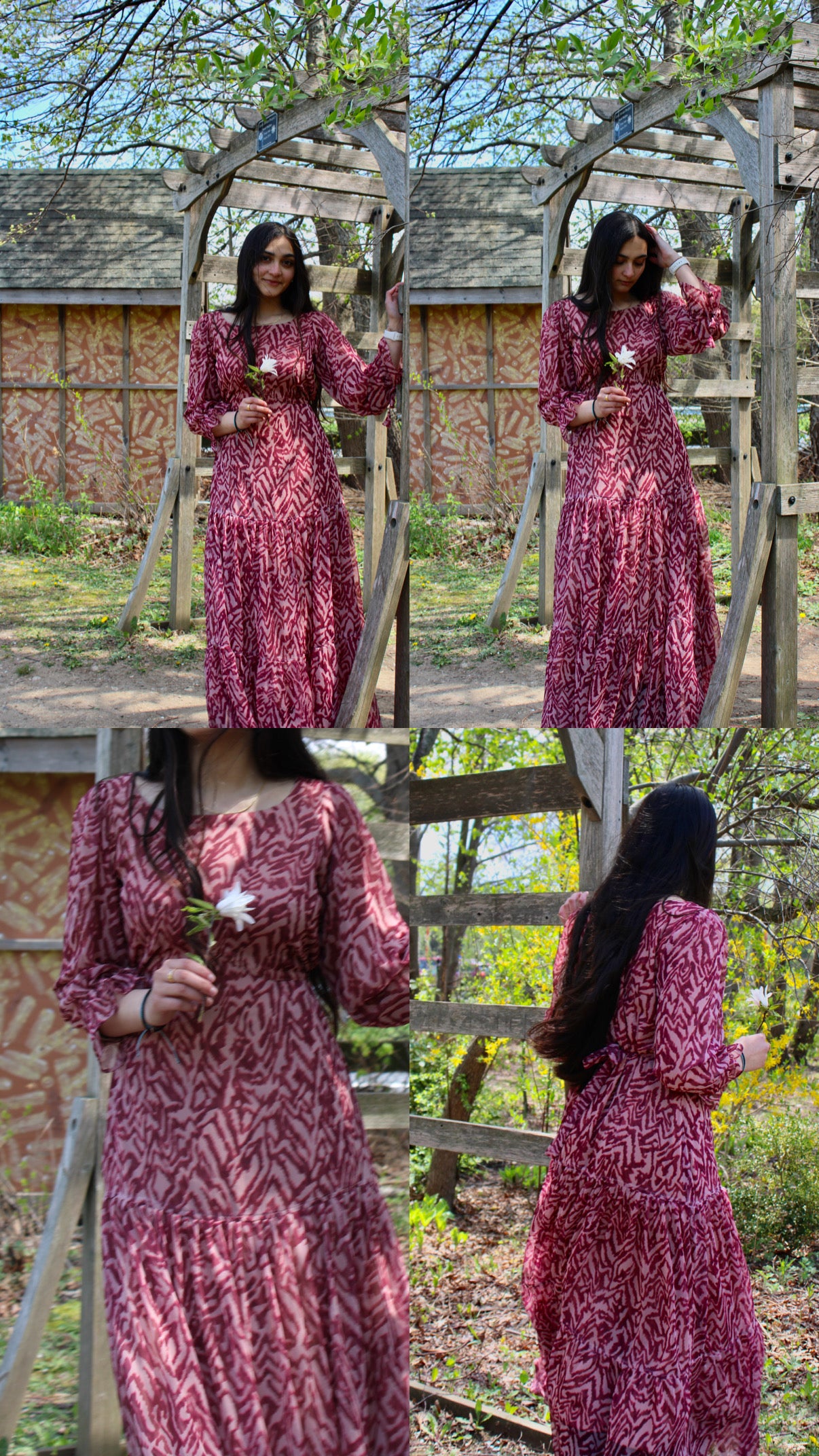 Wild Rose