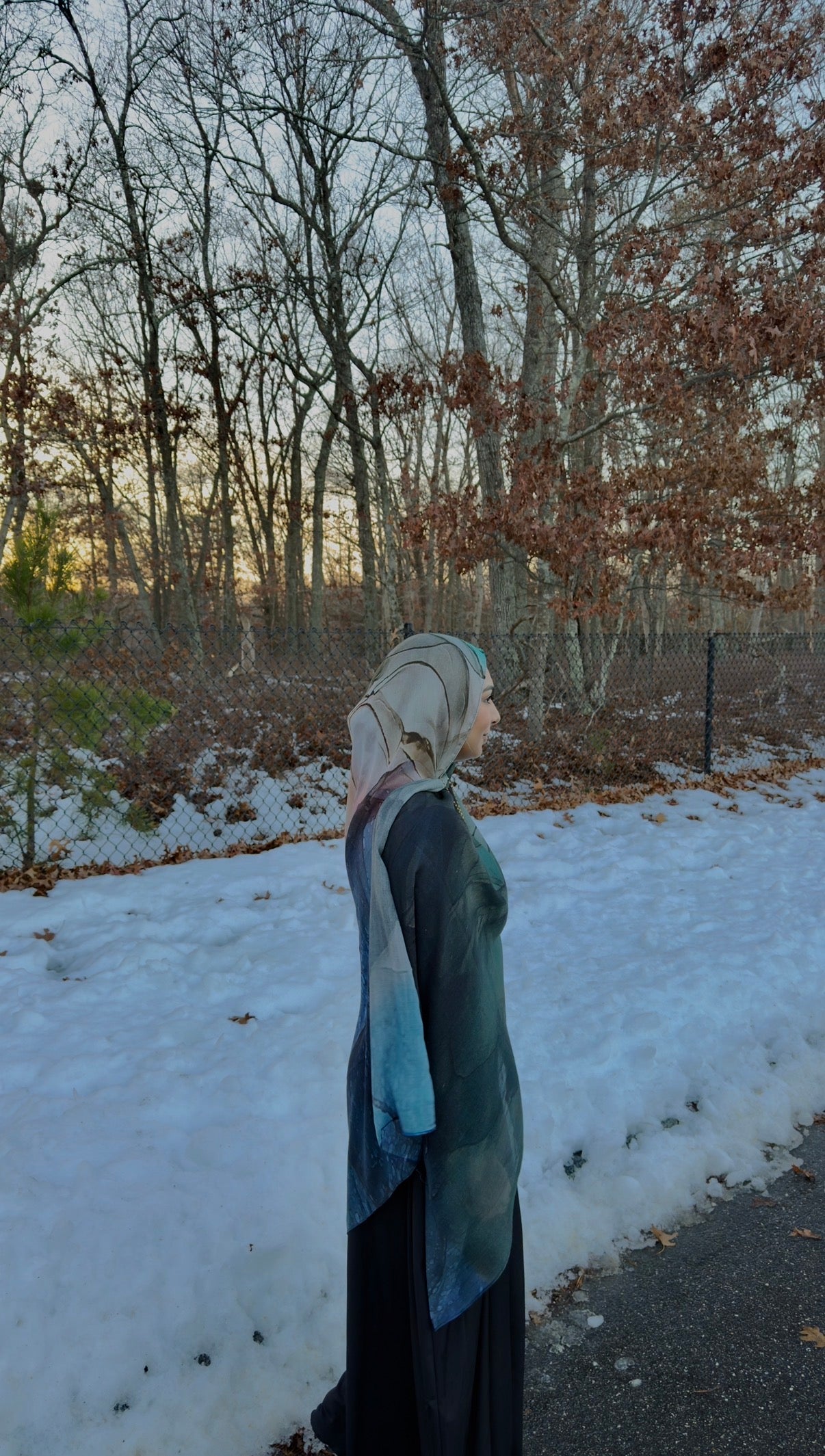 Winter Sky Printed Modal Hijab