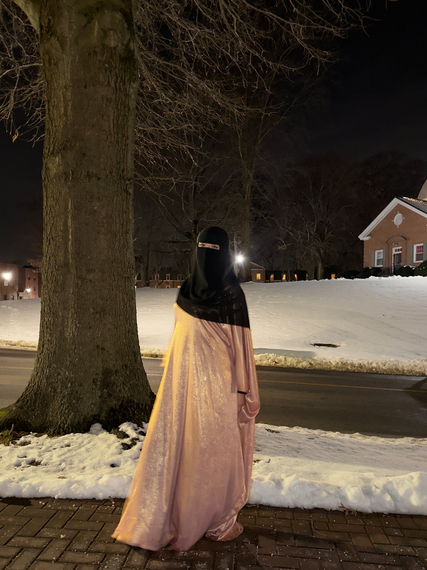 Ayla Abaya