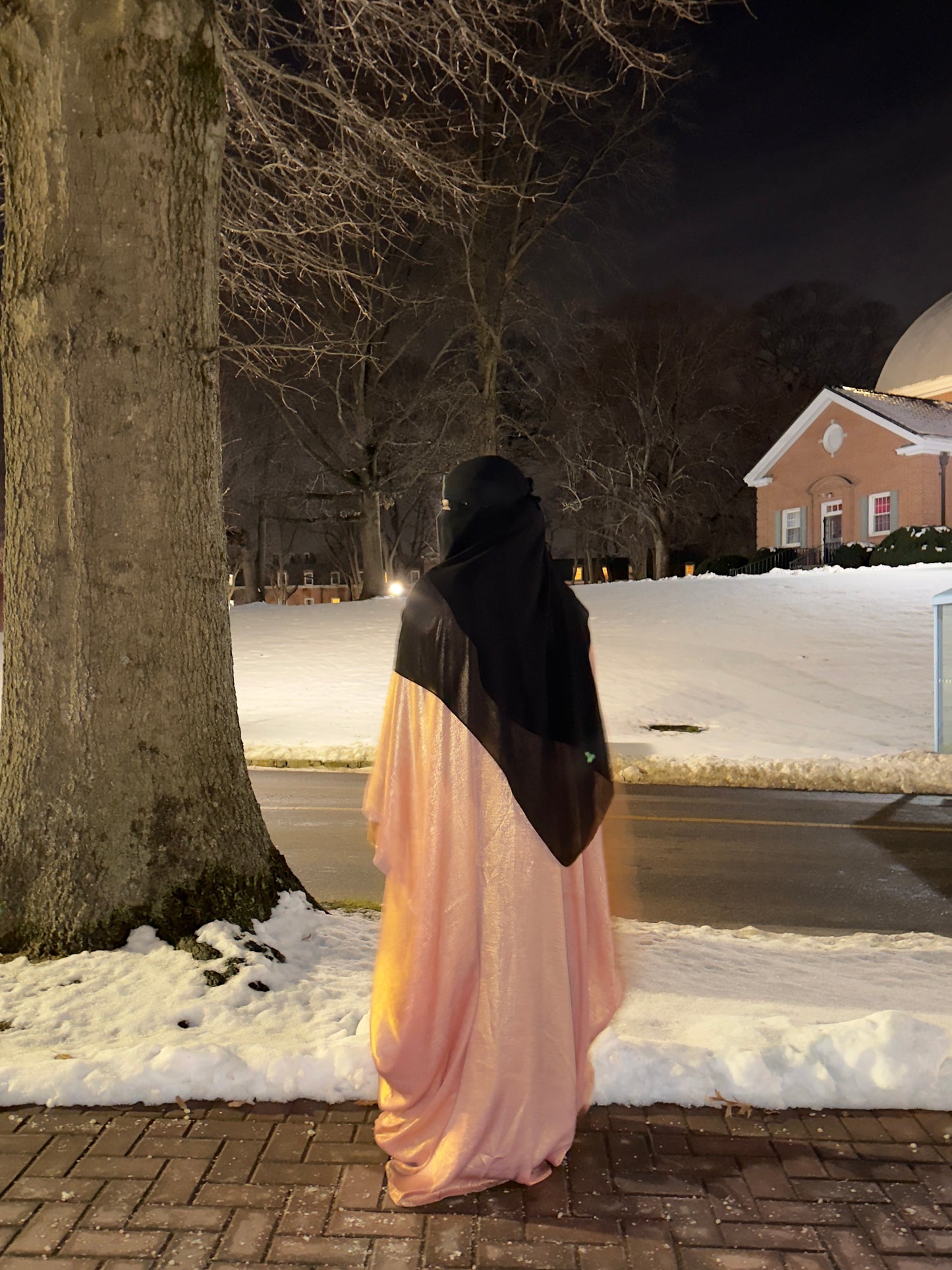 Ayla Abaya