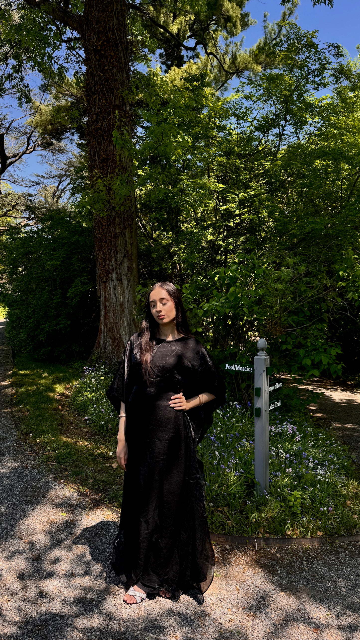 Chrome Black Butterfly Abaya