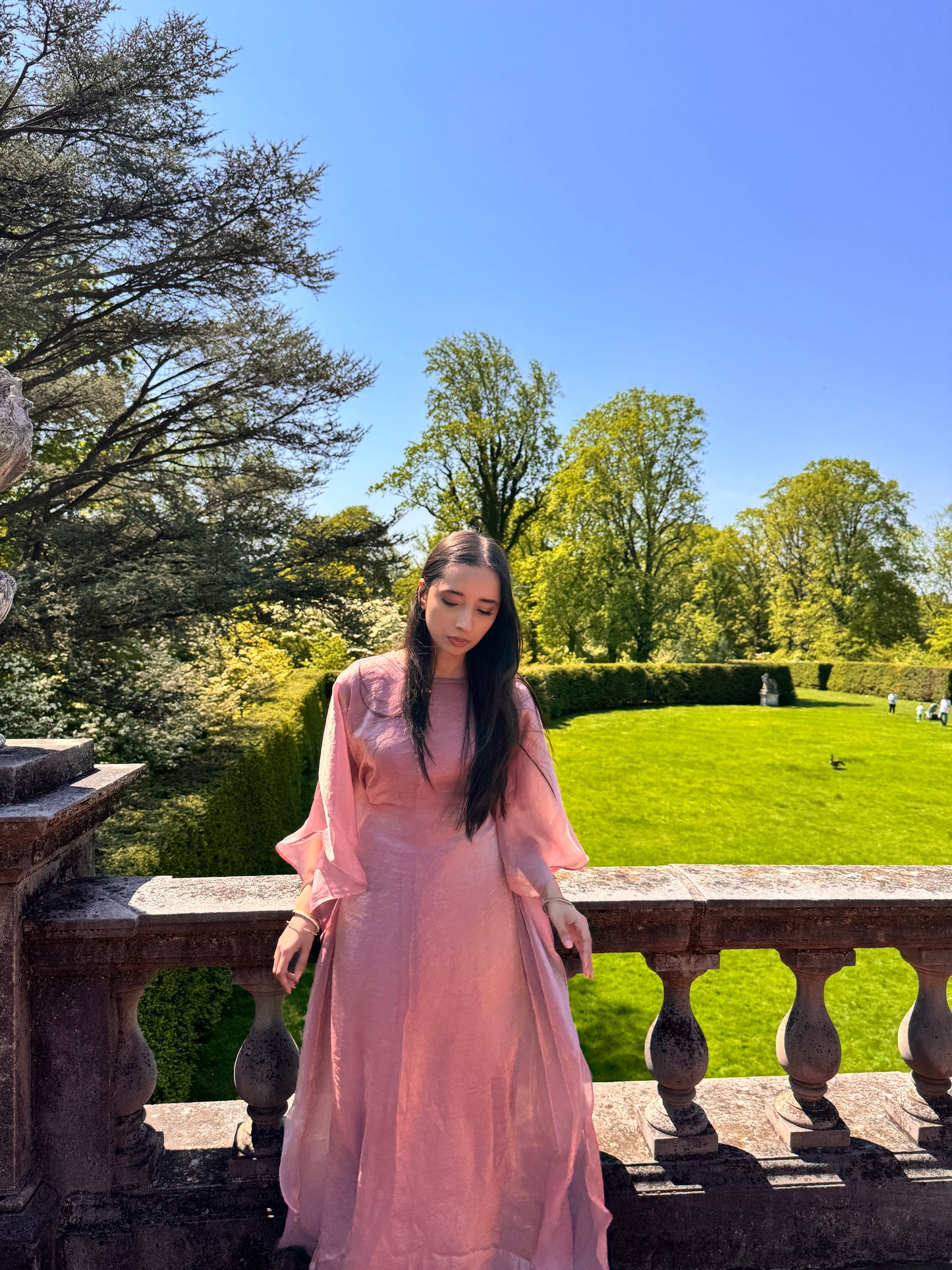 Chrome Blush Pink Butterfly Abaya